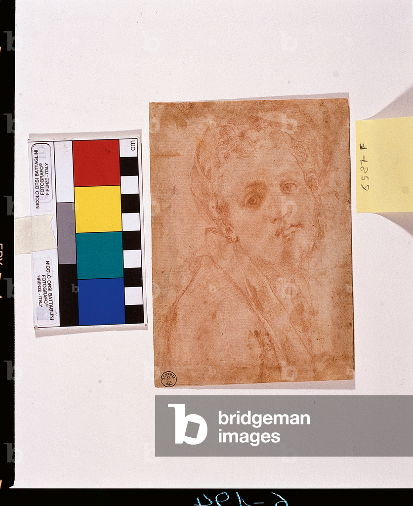 Image of Drawing depicting Self-portrait (drawing) by Jacopo Pontormo
