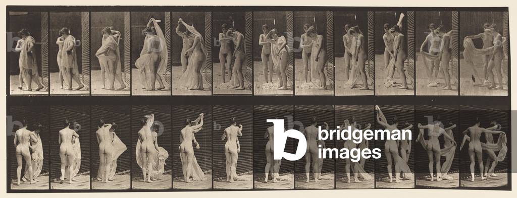 Tavola 428. Toilette; Due Modelli, 1 Disrobing 8, 1872-85 (collotipo su carta)