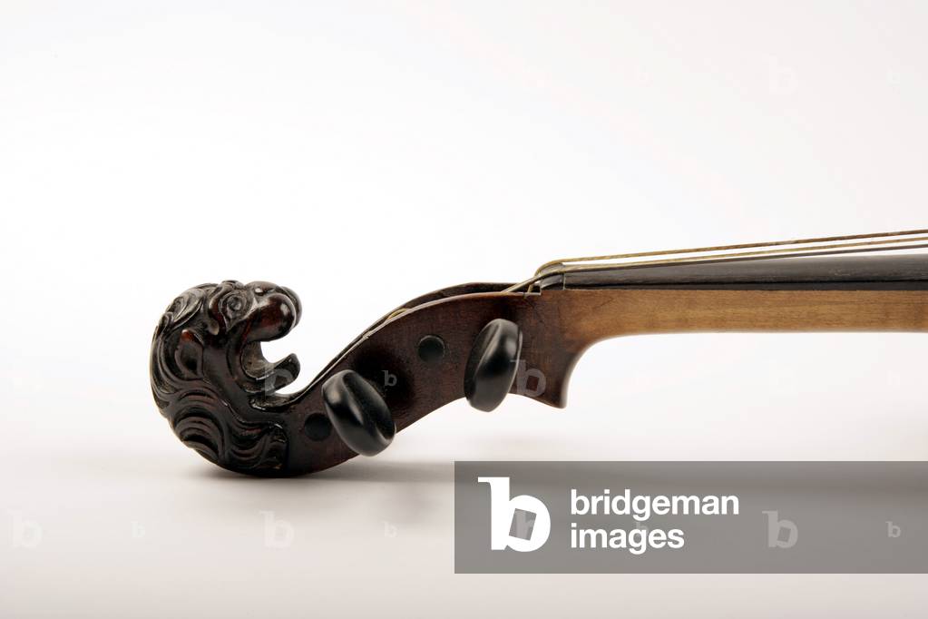 Pergamena di violino -