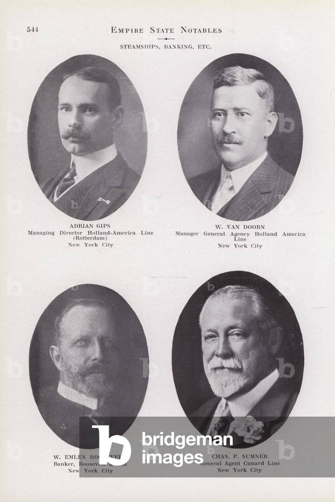 Bild von Fotografie "Adrian Gips; W Van Doorn; W Emlen Roosevelt; Chas P Sumner (s/w Foto)" 1901 von American 