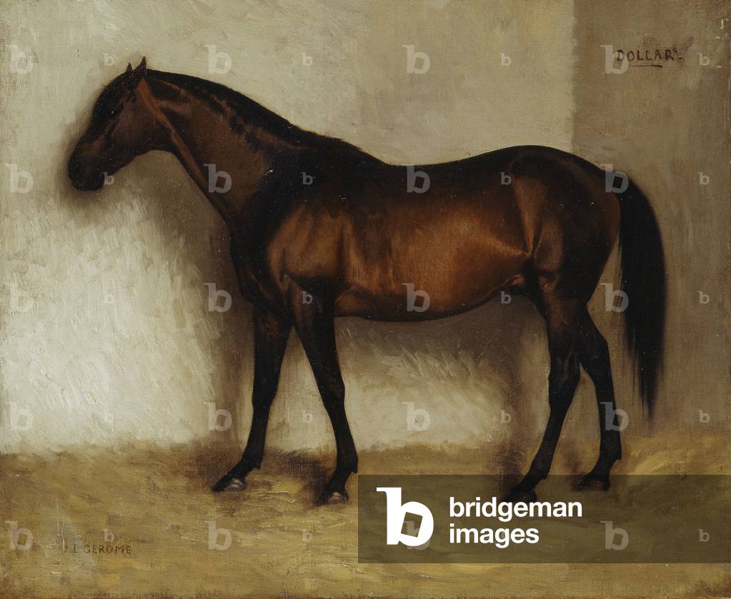 Dollaro, Un cacciatore di baia in un sciolto scatola, (olio su tela)