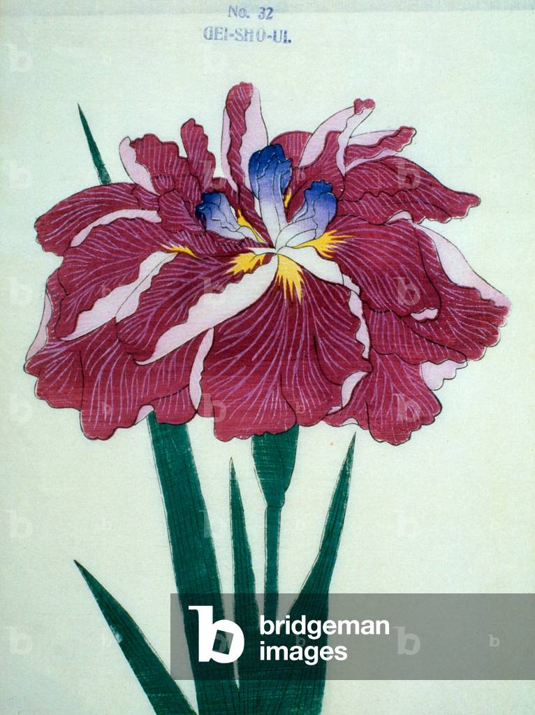 GeiSho-Ui 1898 by Japanese Artist