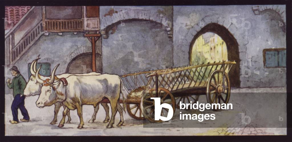 Draught Oxen in Spain (colour litho) by Edwin Noble