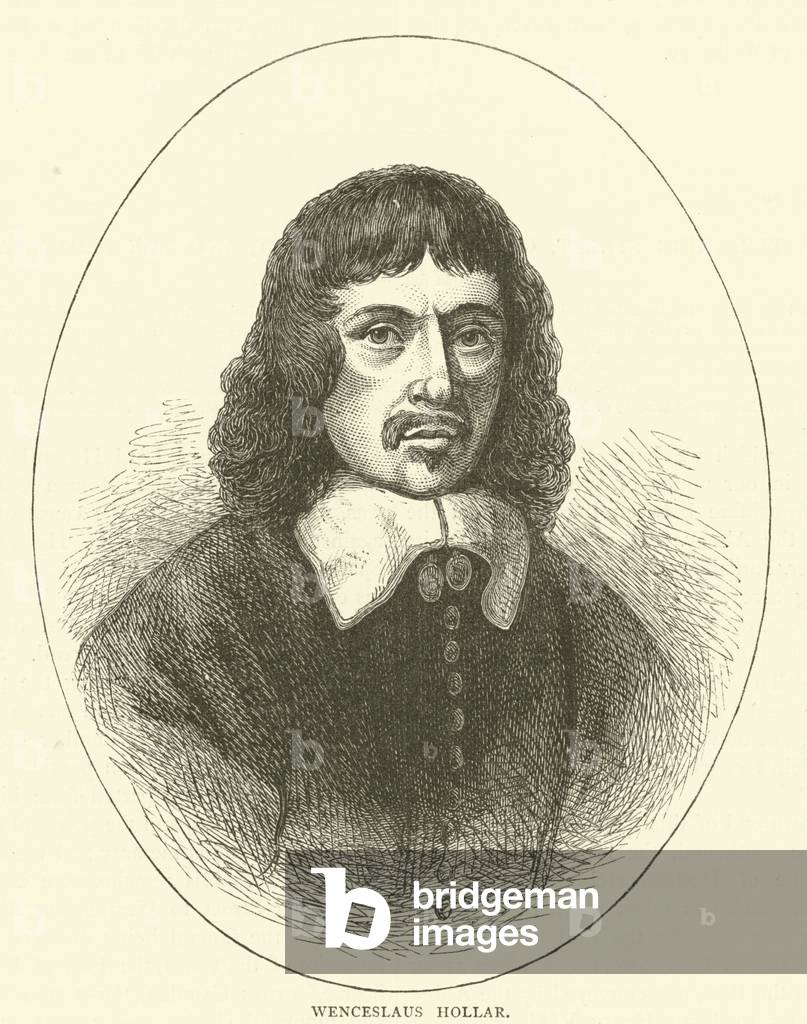 "Venceslao Hollar (incisione)" di English School, b/w