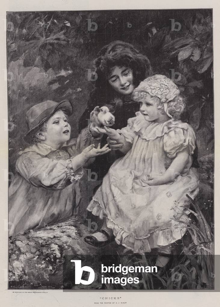 Chicks (engraving) by Arthur John Elsley