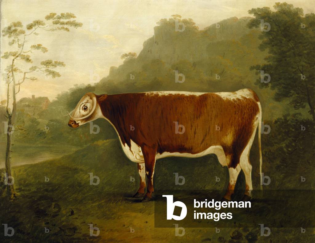 Bild von Gemälde "“Brindled Beauty”" von John Boultbee, b/w