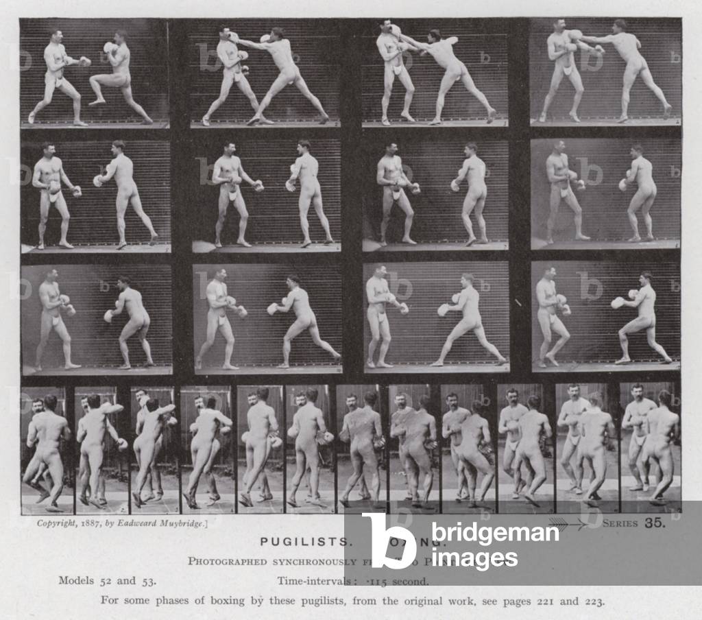Immagine di Fotografia "La figura umana in movimento: Pugilisti" di Eadweard Muybridge