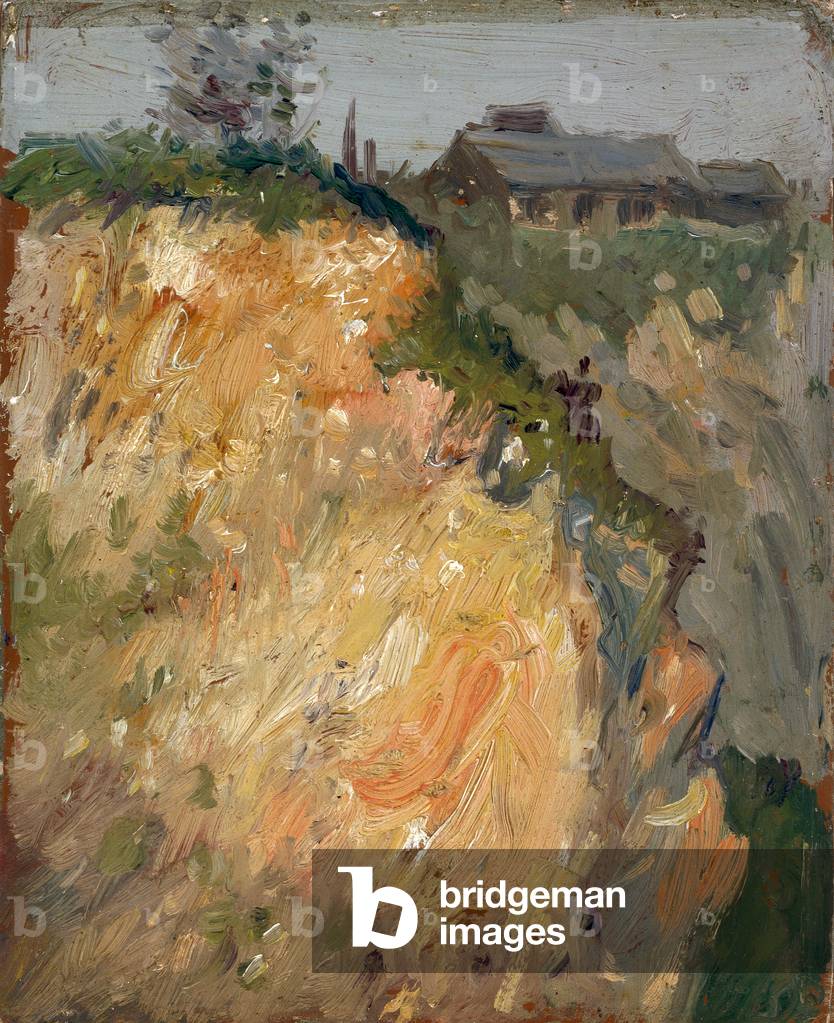 Cliff Top Cottage (olio su pannello)