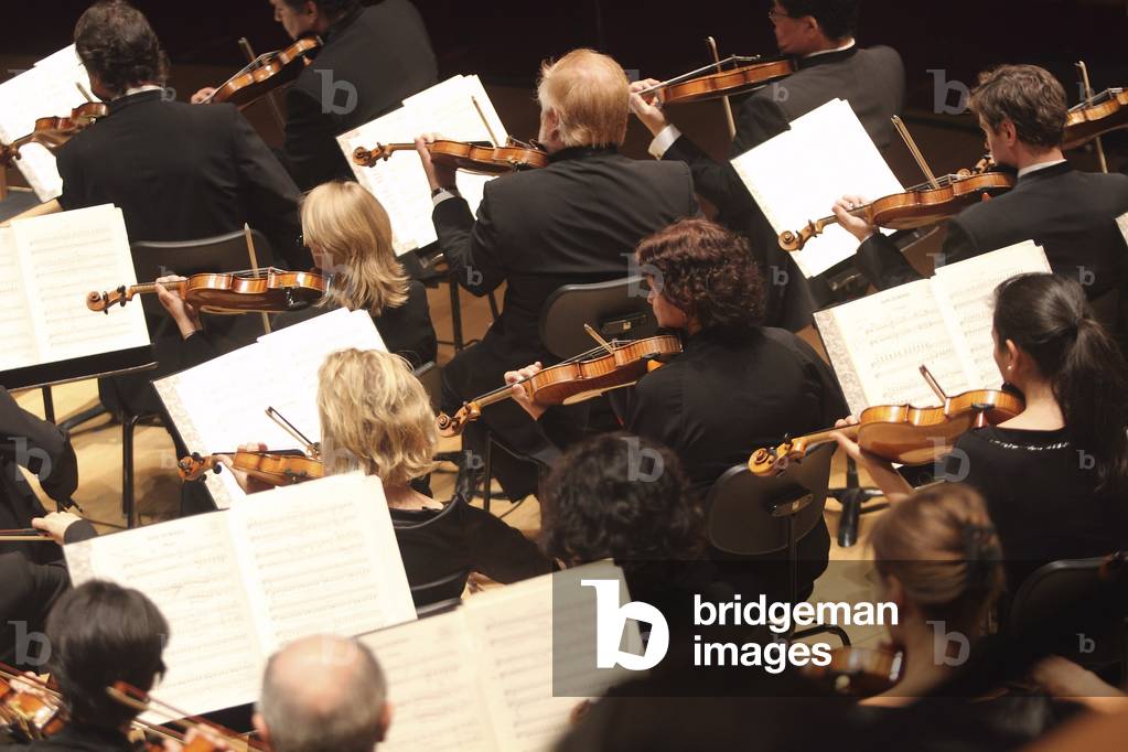 Bild von Fotografie "Violinabteilung im Orchester. Abschnitt Strings" von Thierry Martinot