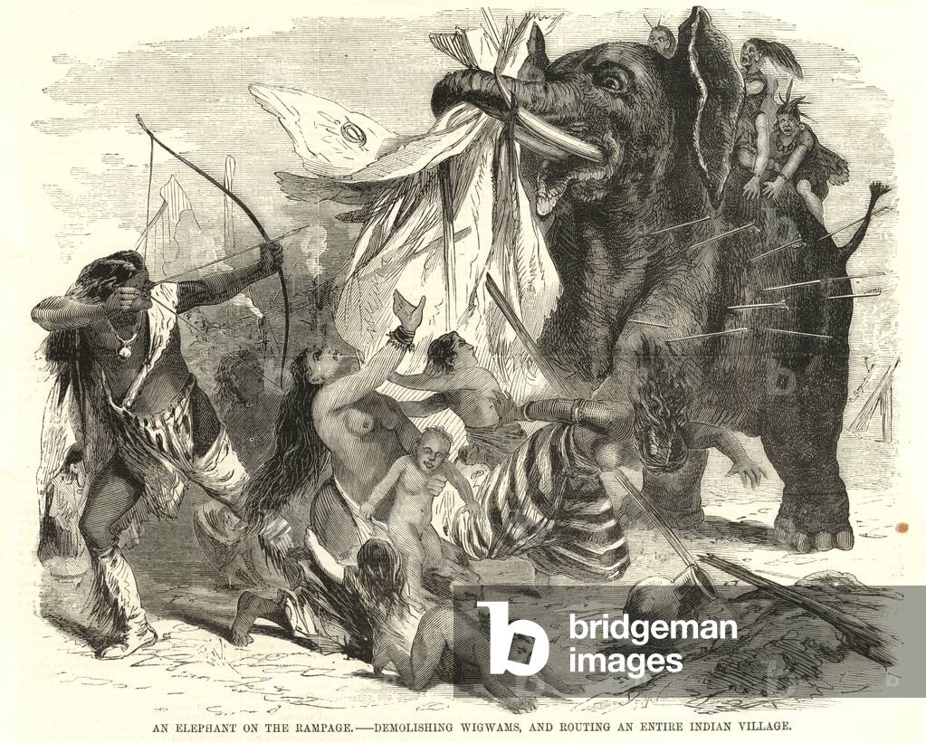Ein Elefant auf der Wut (Gravur)