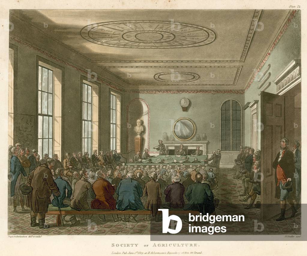 Immagine di Incisione "Società di Agricoltura (incisione colorata)" di Thomas Rowlandson