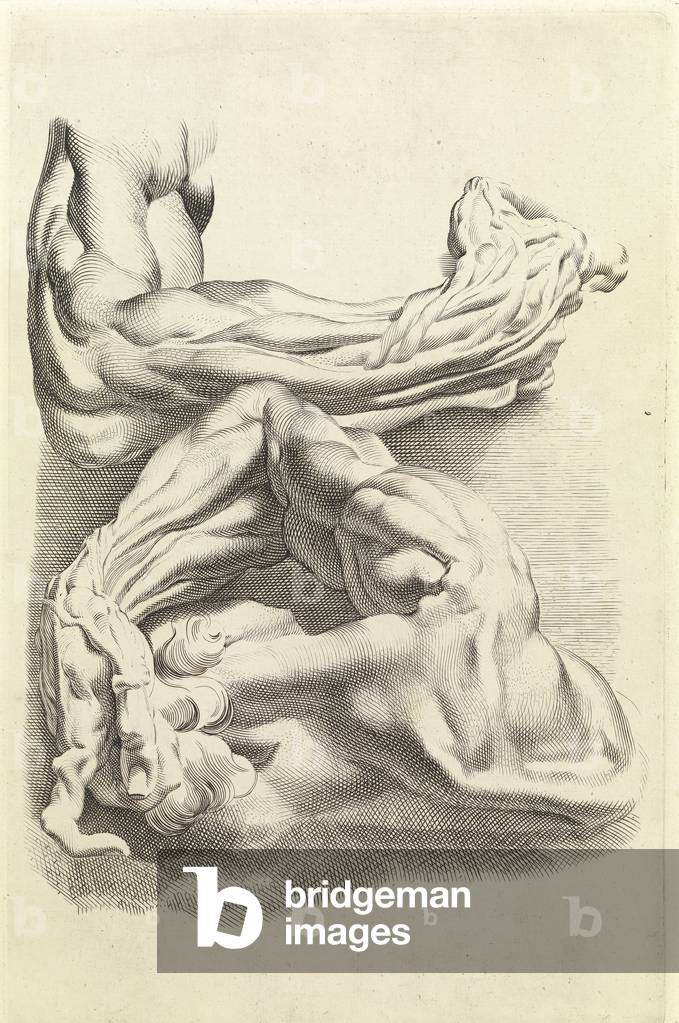 Muscles (gravure) par Peter Paul Rubens, b/w