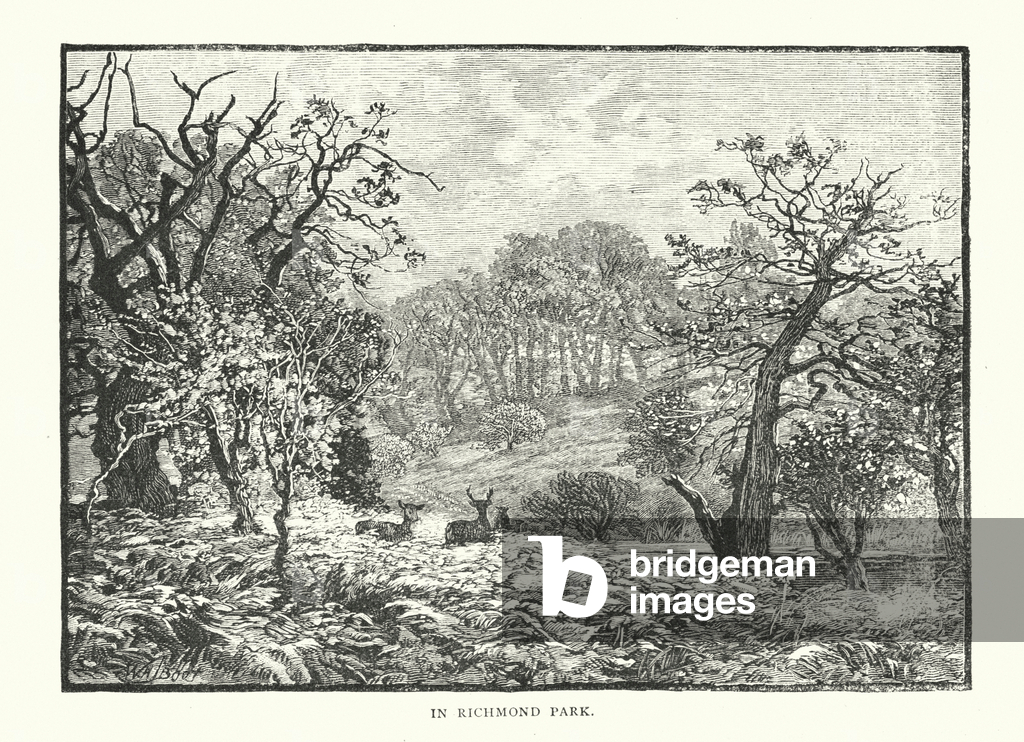 Image de Gravure représentant Dans le parc de Richmond (gravure) 1801 par English School