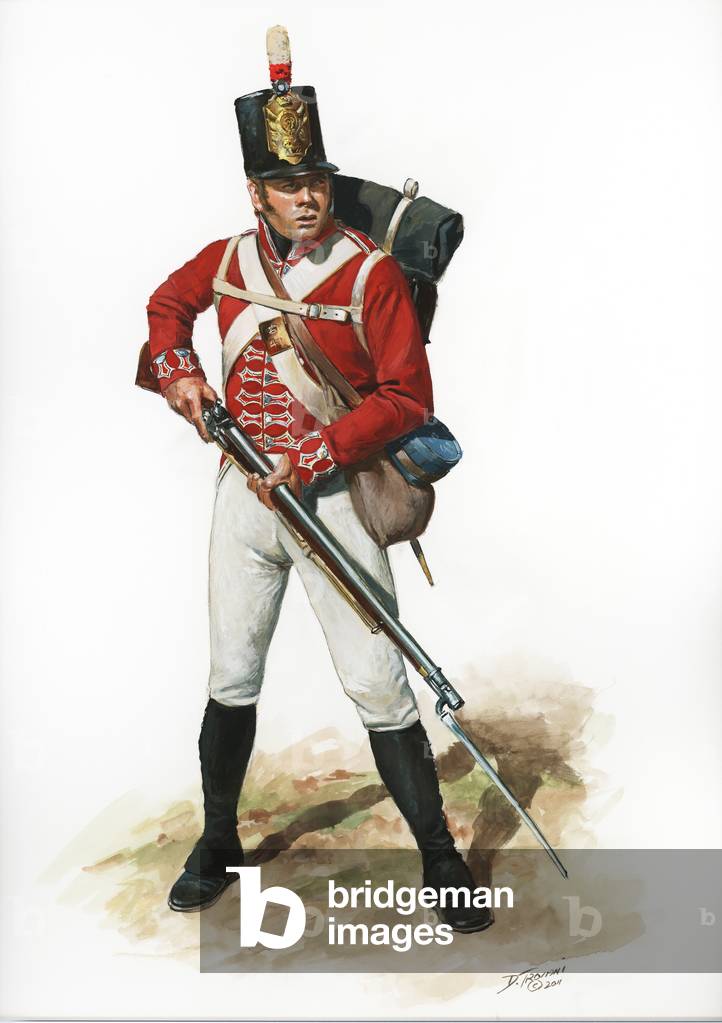 Image Of War Of 1812 British Army 41st Regiment Of Foot 2011 By 