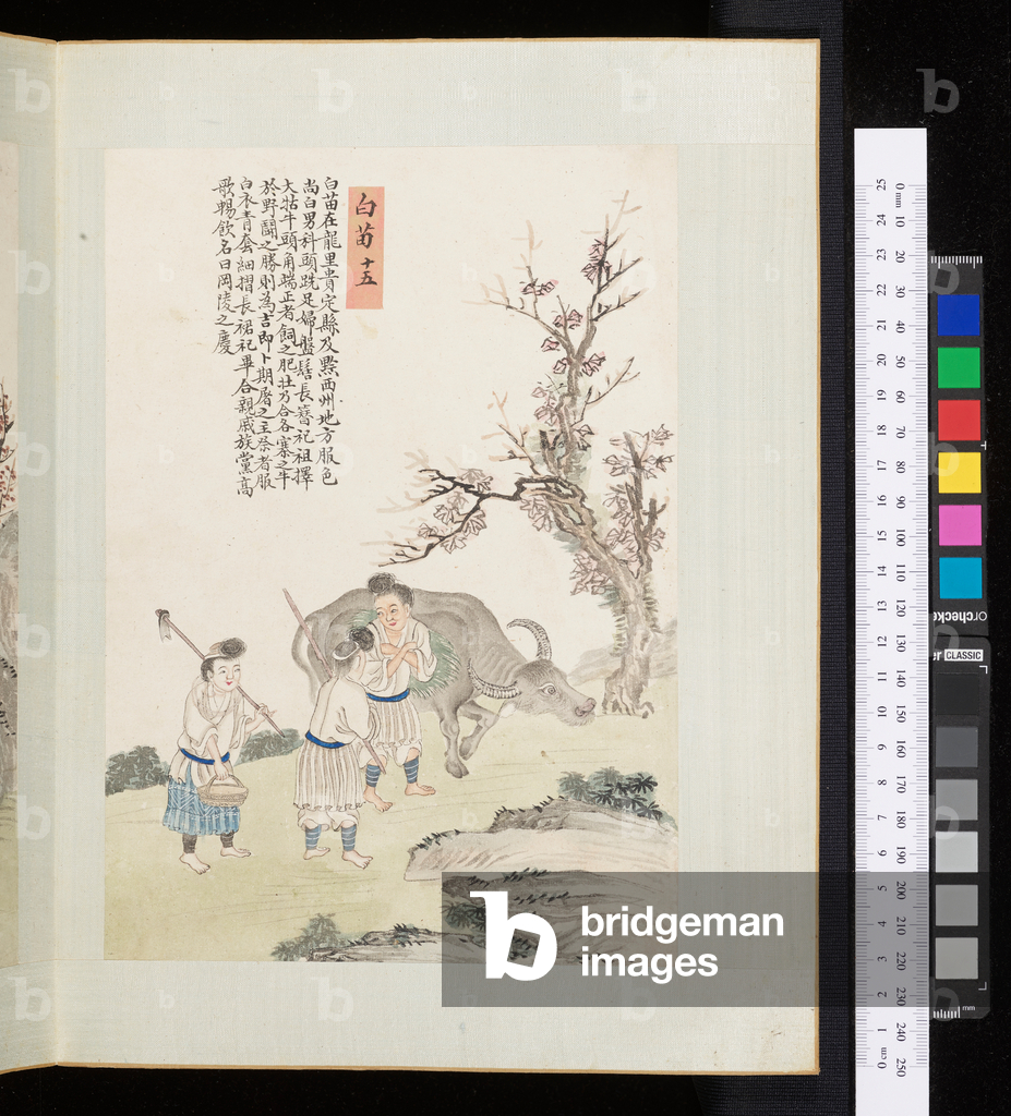 Bild von Zeichnung "Man liao tu shuo" 1801