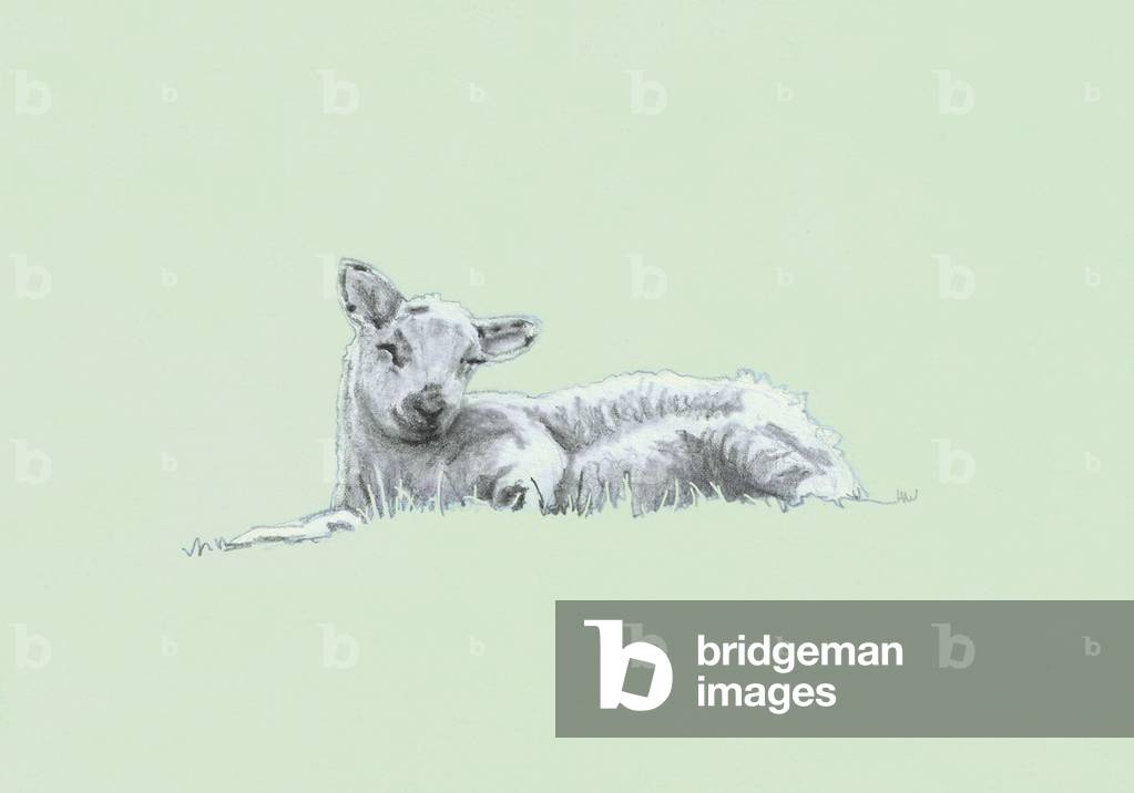 Gentle Spirit II, 2022, (Bleistiftzeichnung)