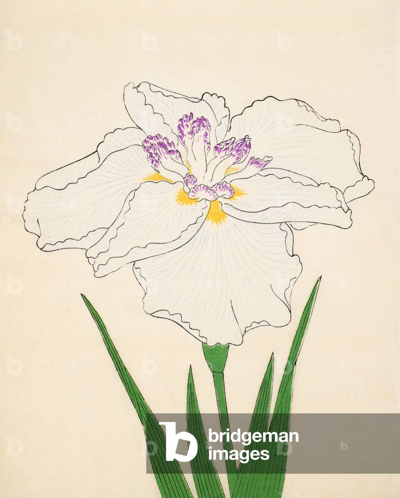 "Cho-Hiyen", 1890 di Japanese School
