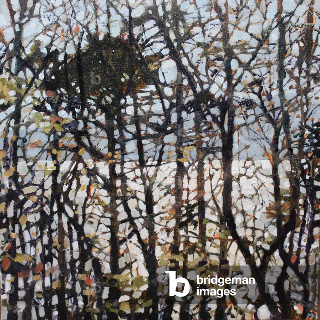 "Sera Sun Dartmouth" 2017 di Anne-Marie Butlin