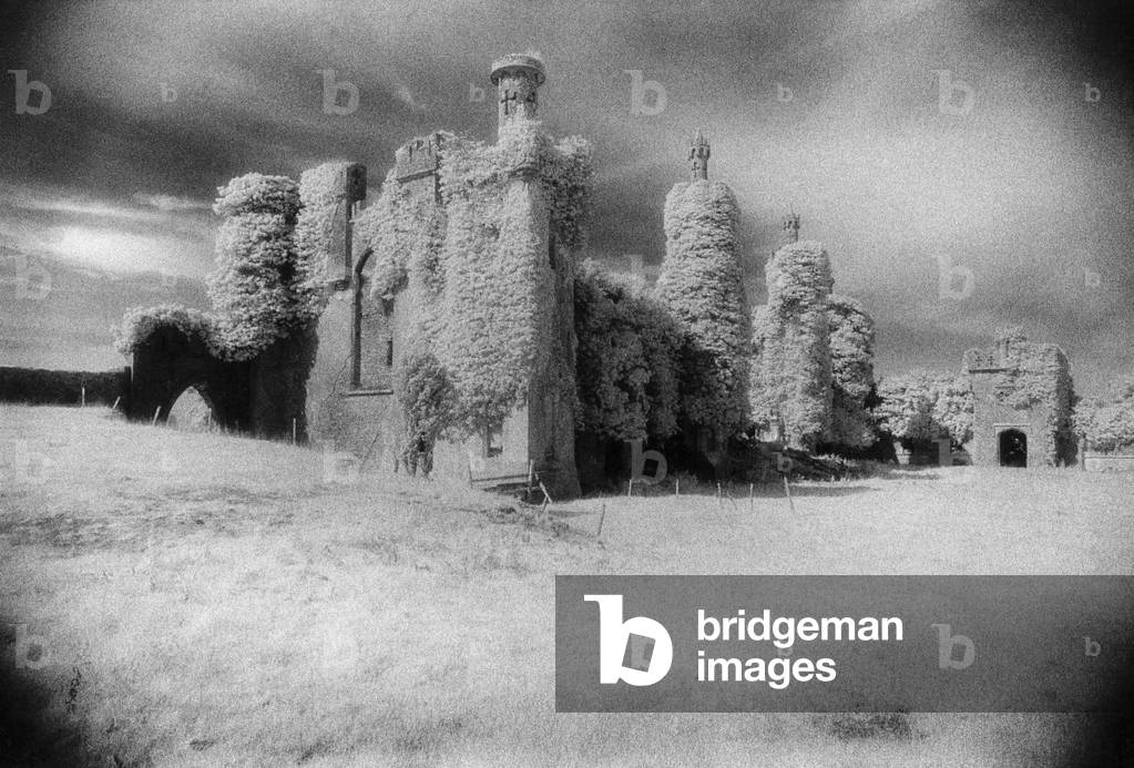 Immagine di Fotografia "Thomastown Castle" di Simon Marsden, b/w