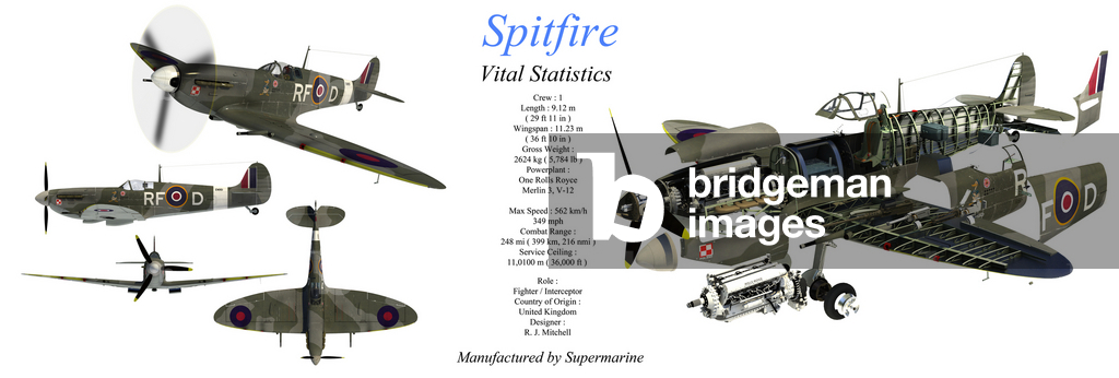 Spitfire (illustrazione)