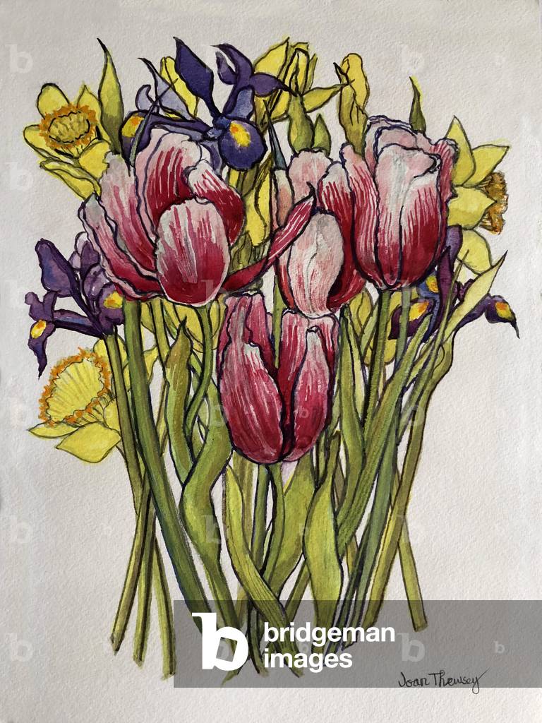 Tulips by Joan Thewsey