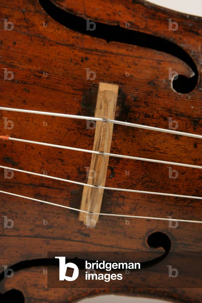 Dettaglio di un contrabbasso che mostra le corde, la buca e il ponte,