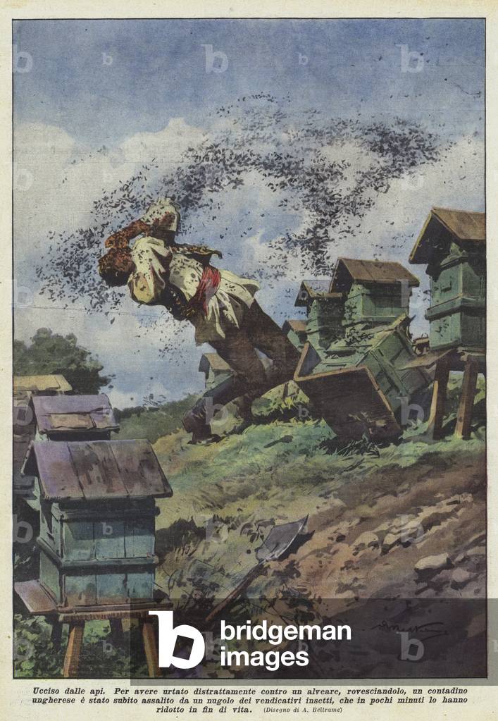 Tué par les abeilles (Litho couleur) par Achille Beltrame