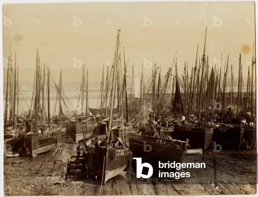 Immagine di Fotografia "Flotta da pesca" 1882
