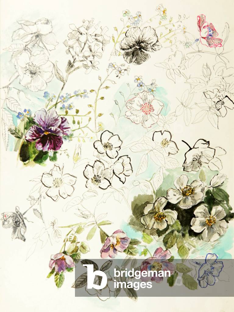Bild von Zeichnung "Blumen" 1964 von Nina Shirokova