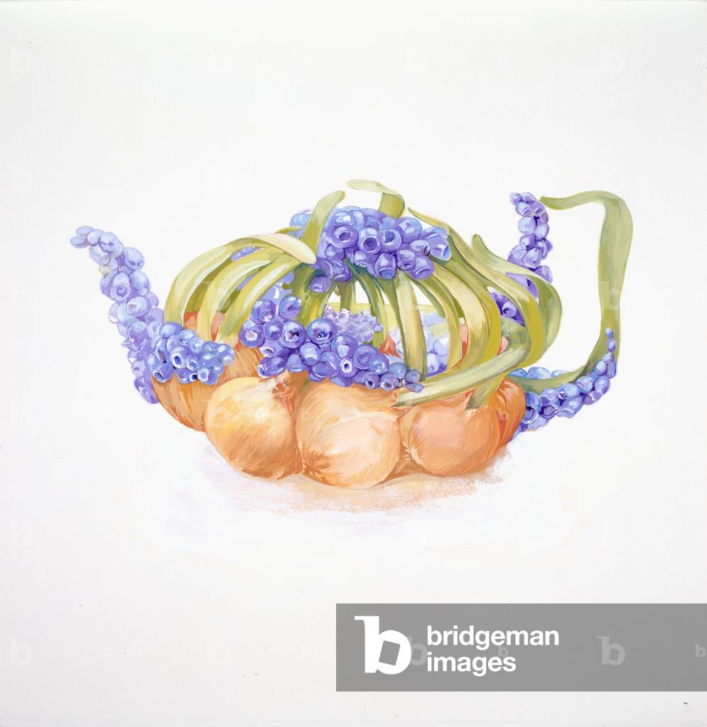 Grape Hyacinth Tea, 2006 (Pencil)