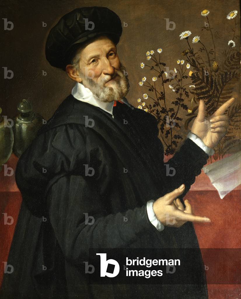 The Botanist, 1570 (oil on canvas)