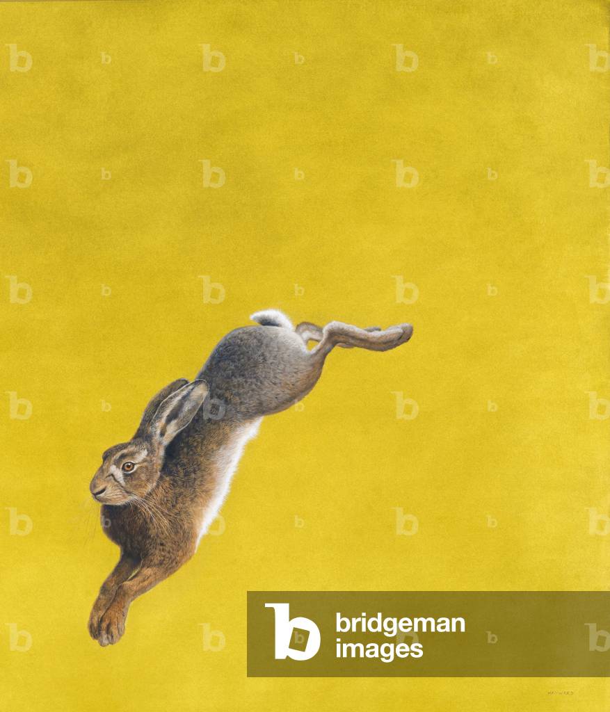 Image of Painting depicting The Leap-Yellow  (watercolour and guache) by Tim Hayward, b/w