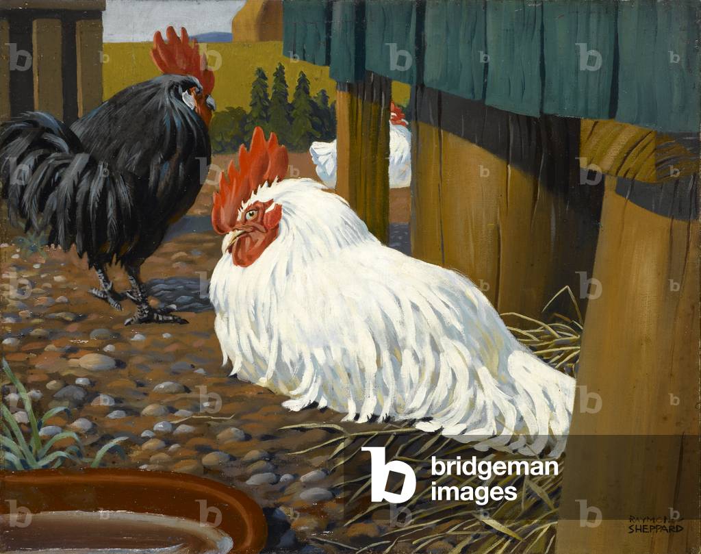 Il Galletto Bianca, No. 1, c.1935 (olio su tela)