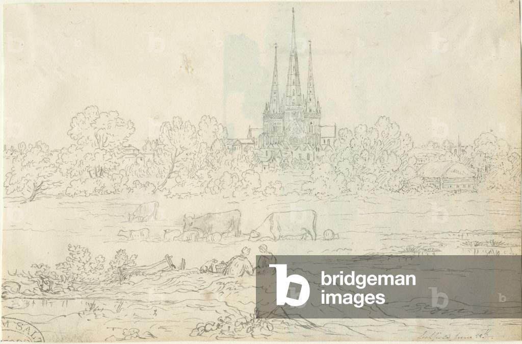 Immagine di Disegno "Lichfield Cathedral - East View: disegno a penna e inchiostro" 20 di Henry Curzon Allport