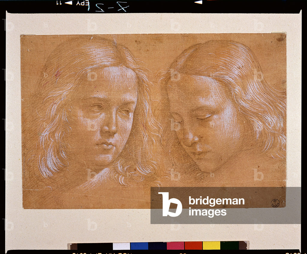 Image of Drawing depicting 2 heads of young people (drawing) by Bastiano Mainardi