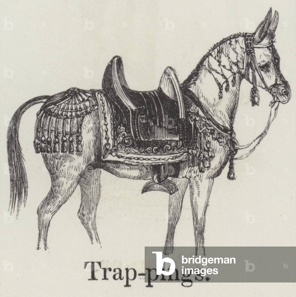 Trapanature (incisione)