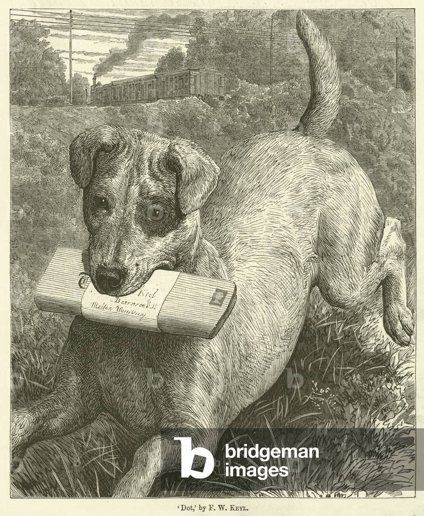Chien (gravure)