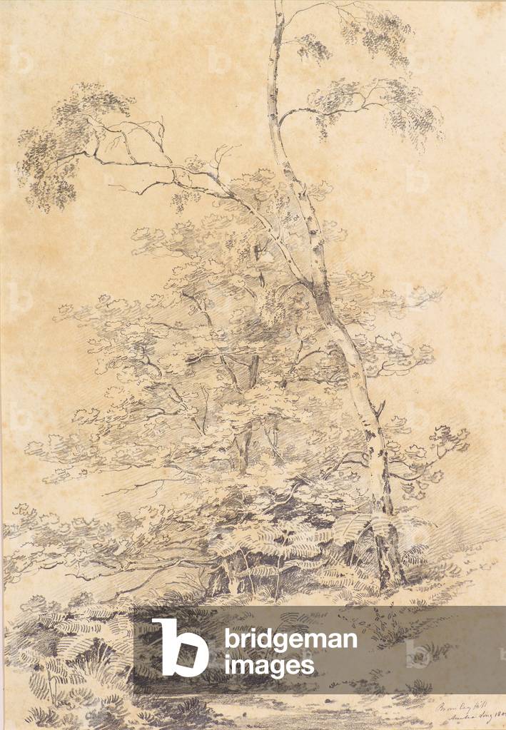 Image de Dessin représentant Bromley Hill 1805 par Amelia Long