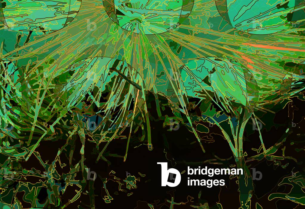 Artischocke_abst_horz2, 2020 (digital)