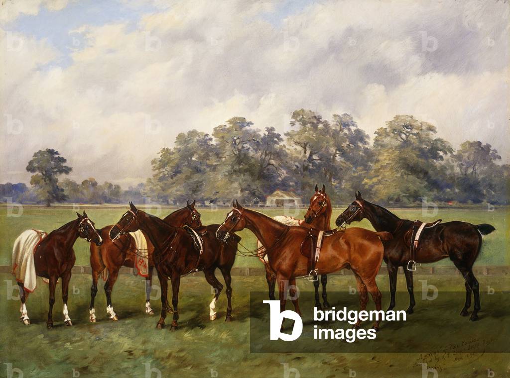 Bild von Gemälde "Eine Gruppe von Polo Ponies", 1895 von Henry Frederick Lucas-Lucas