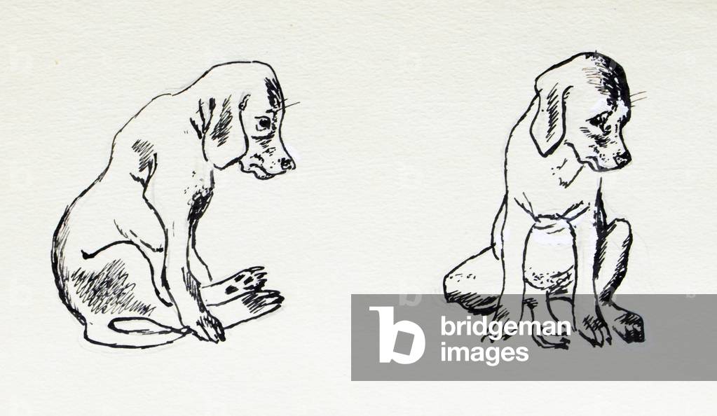 Immagine di Disegno "Puppy" 1968 di Marina Uspenskaya
