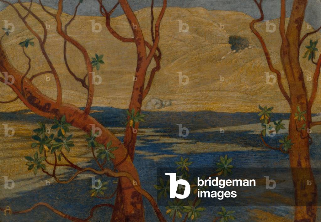 "Alberi sotto Tamalpais" 1901 di Maxwell Ashby Armfield