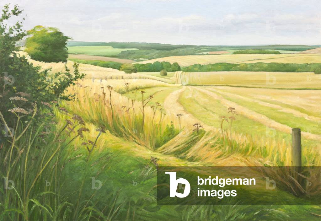 Bild von Gemälde "Field Corner in den Deverells", 2011 von Peter Breeden