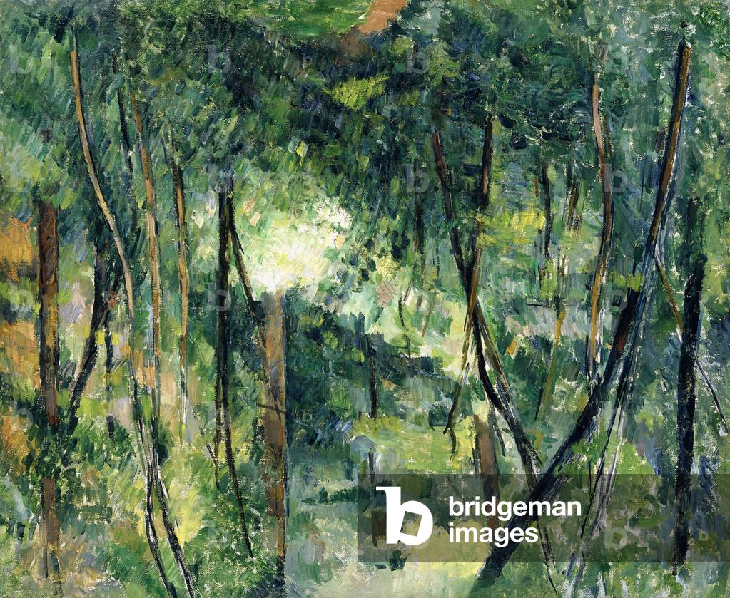 Bild von Gemälde "Unterwuchs", c.1885 von Paul Cezanne