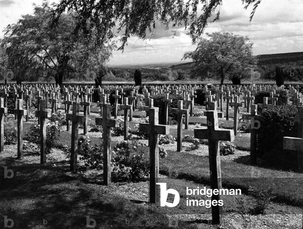 "Douaumont" von Walter Limot, b/w