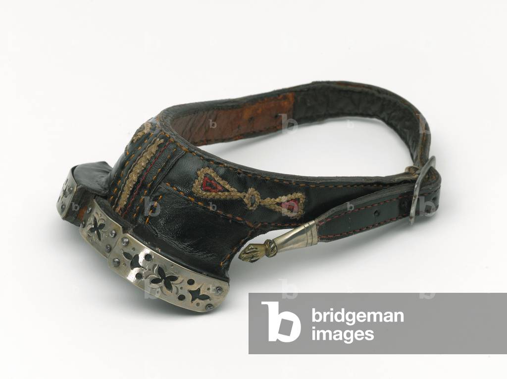 Hoof guard by Indian Artist