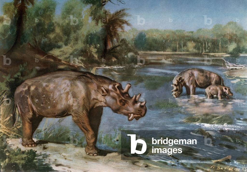 Uintatherium (imprimé)