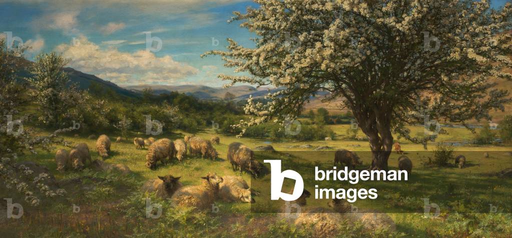 spina alberi su un breconshire collina, 1904 (olio su tela)