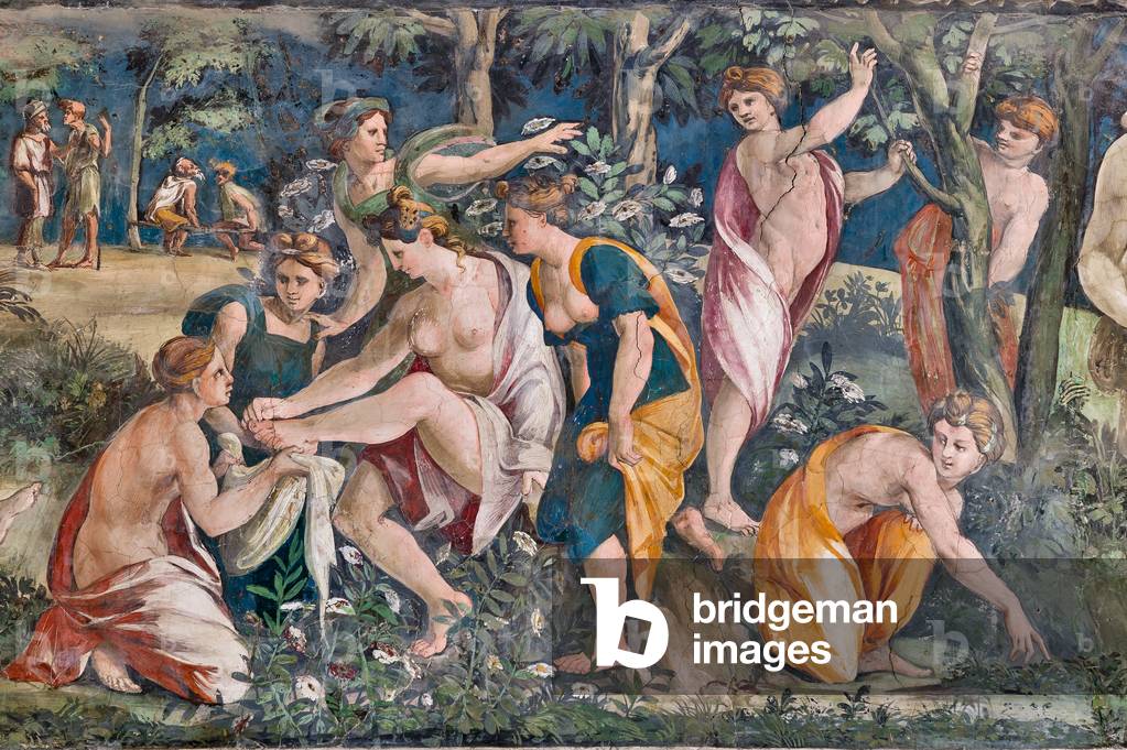 Venere e Adone, 1517-18 (affresco) (particolare di 2646090)