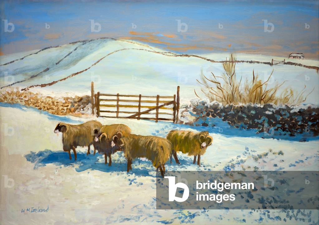 Schnee in den Yorkshire Dales (Öl an Bord)